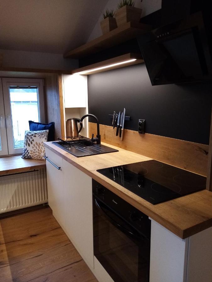 Apartman Jeseniky Karlovice  Εξωτερικό φωτογραφία